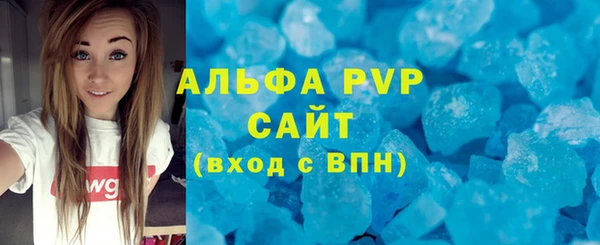 прущие грибы Заводоуковск