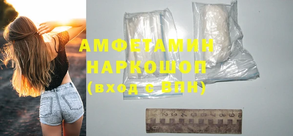 прущие грибы Заводоуковск