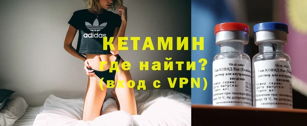 прущие грибы Заводоуковск