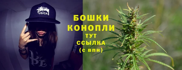 прущие грибы Заводоуковск