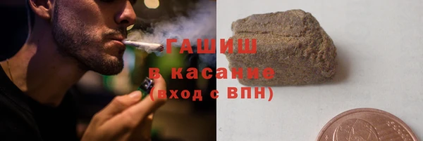 прущие грибы Заводоуковск
