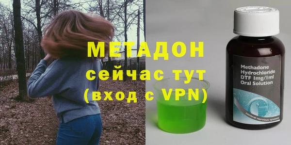прущие грибы Заводоуковск