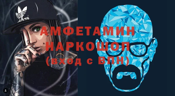прущие грибы Заводоуковск