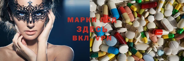 прущие грибы Заводоуковск