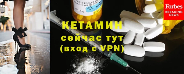 прущие грибы Заводоуковск