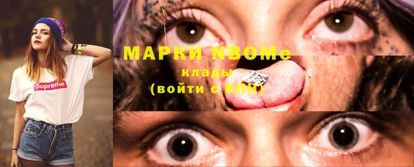 прущие грибы Заводоуковск